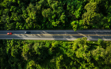 Adventure morning road trip in the forest, electric vehicle driving on asphalt road through green...
