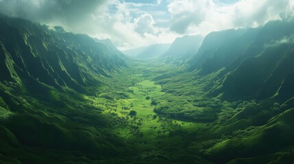 Fototapeta premium A breathtaking view of an evergreen valley