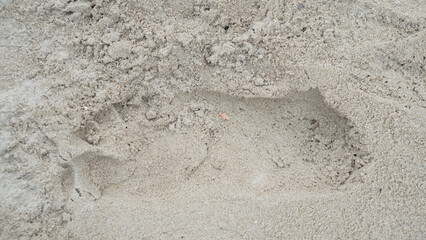 Above view of single footprints of people on the sandy beach. for background and textured of dry beach.
