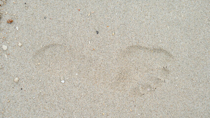 Above view of single footprints of people on the sandy beach. for background and textured of dry beach.