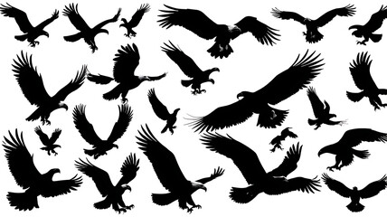 Fototapeta premium Eagles Flying Silhouettes: Vector Wildlife Art & Nature Photography with Ornithology Insights