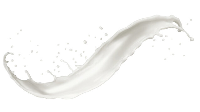 milk splash isolated on transparent background