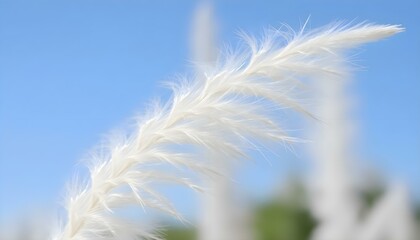 close up of a white feather against a blue sky