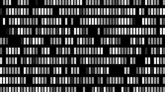 Black and white texture in rectangular style. Modern abstract with colorful rectangles. Modern template for your landing page.