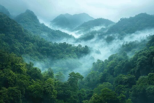 Lush green mountains shrouded in mist with dense forests and rolling hills at dawn in a tranquil landscape