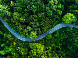 Rainforest ecosystem and healthy environment concept, Road in the middle of the forest Concept of...