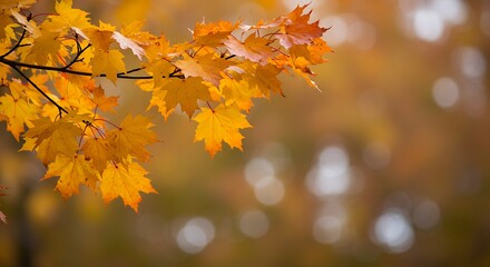 Obraz premium Golden Hour Glow AI Generated