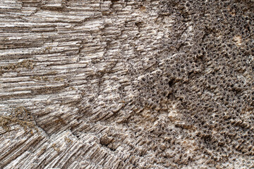 Marine limestone background : construction material of the Fortress San Felipe de Barajas, Cartagena, Colombia.