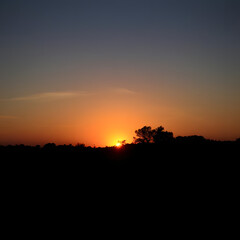 Obraz premium beautiful sunset