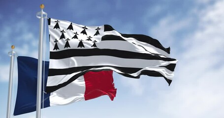 Brittany flag waving with french national flag on a clear day. Peninsula, historical country, and cultural area in the west of France. Seamless 3d render animation. Slow motion loop. Selective focus.