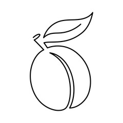 Apricot fruit illustration. Single line icon. Line art plum. continued line peach illustration. Vector Outline fruit isolated on white background