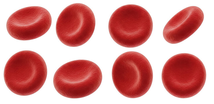 Set of Red Blood cells, erytrocytes that carry oxygen, cut out on transparent backround, PNG file graphic resource for medical purposes