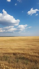 Obraz premium Golden wheat field under a vibrant blue sky with fluffy white clouds. Serene summer landscape.