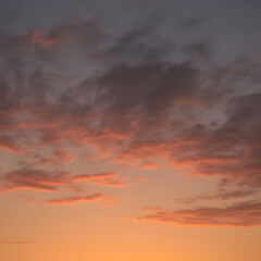 Obraz premium beautiful sunset