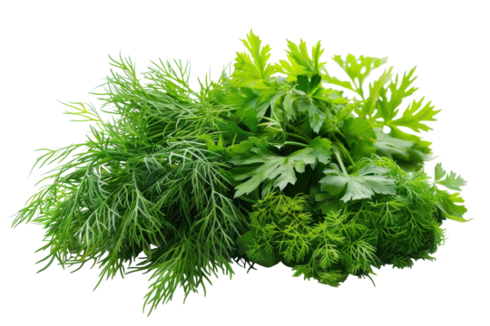 Buuz Mongolia Cuisine Isolated On Transparent Background