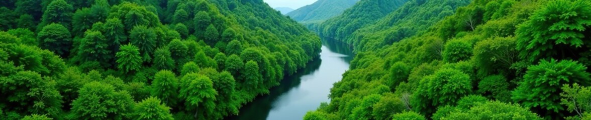 Aerial view of the lush green forest surrounding a meandering river in Tuchola natural park,  outdoor,  trees