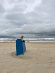 Trash cans on the beach in da nang vietnam