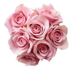 Obraz premium Pink Rose Bouquet Closeup Soft Petals Beauty,
