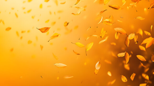 fire, vector, orange, illustration, flame, leaf, nature, flower, seamless, pattern, design, yellow, autumn, decoration, icon, hot, art, floral, symbol, wallpaper, element, burn, heat, spring, butterfl