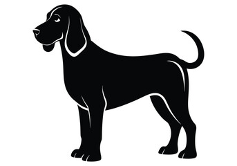bloodhound dog silhouette  isolated on white background
