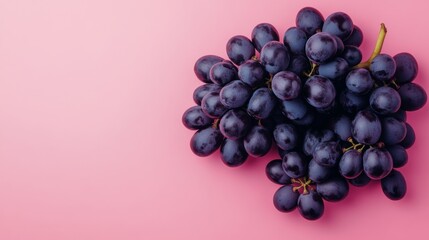 Fresh, juicy black grapes rest on a trendy pink background, top view.