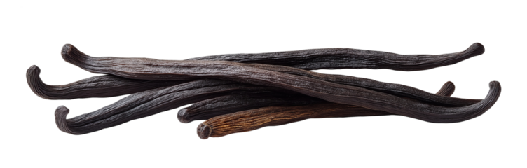 Vanilla beans isolated on transparent background