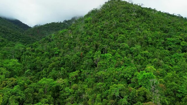 Forested Palawan mountain slope covered with tropical jungle and low mist near Estrella Waterfall after humid weather