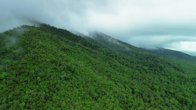 Wide Palawan mountain panorama with low clouds sliding over continuous green rainforest near Estrella Waterfall in humid weather