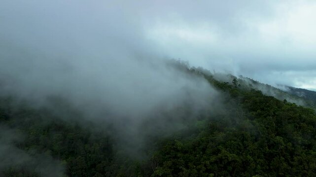 Thick cloud bank drifting across forested Palawan mountain slopes near Estrella Waterfall with dense green jungle below