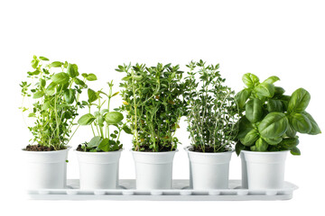 Herb Garden Kit Image Isolated On Transparent Background