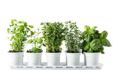 Herb Garden Kit Image Isolated On Transparent Background