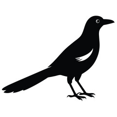 Fototapeta premium Magpie bird silhouette vector art illustration