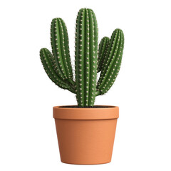 Green Cactus in Terracotta Pot Home Decor Succulent Plant