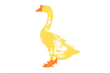 vector illustration of a duck transparent background