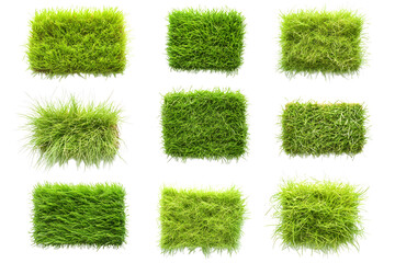 Collection of Lush Green Grass Patches
