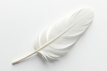 Crisp white feathers on stark white background, freedom, white background, detail
