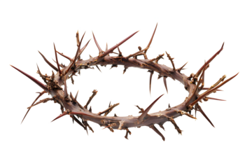 Crown of Thorns - Symbol of Suffering and Sacrifice