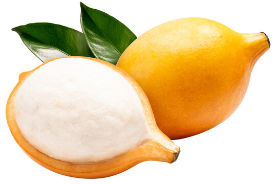 Yellow Achacha or Lemon drop mangosteen isolated on white background, Yellow Garcinia humilis or Garcinia intermedia on white background PNG file.