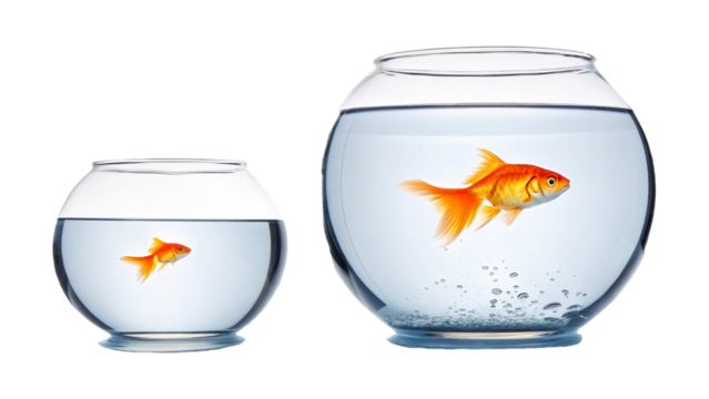 Contrasting environments in two fishbowls showcasing growth and life, a smaller bowl with an orange fish beside a larger bowl