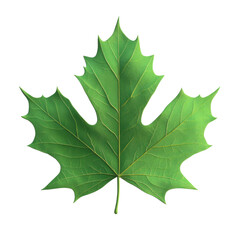 Fototapeta premium 3D render of vibrant green maple leaf with transparent background in minimalist style.