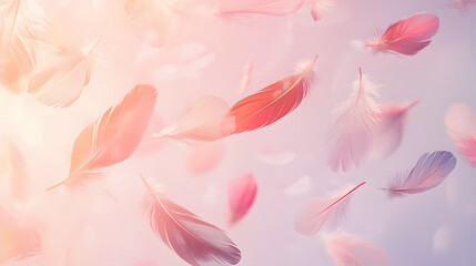 flower, pink, nature, floral, spring, beauty, petal, flowers, macro, blossom, plant, petals, flora, bloom, summer, tulip, color, garden, daisy, closeup, beautiful, lily, close-up, bouquet, gerbera