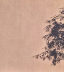old wall background
