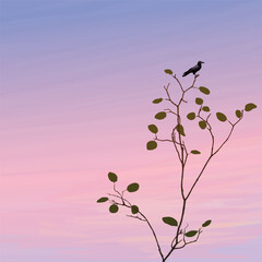 Silhouette of a crow perched on a tree branch have twilight sky square background graphic illustration have blank space.