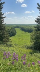 Fototapeta premium Lush green valley with purple wildflowers