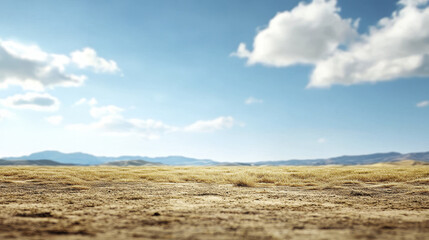 serene landscape featuring golden grass under bright blue sky with fluffy clouds, evoking sense of tranquility and openness