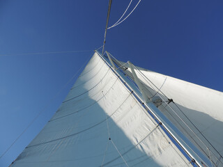 Die Segel eines Bootes ragen im Wind hoch auf in den blauen Himmel