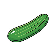 Cucumber vector illustration, isolated on a white background.