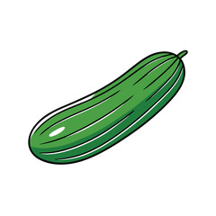 Cucumber vector illustration, isolated on a white background.