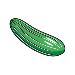 Cucumber vector illustration, isolated on a white background.