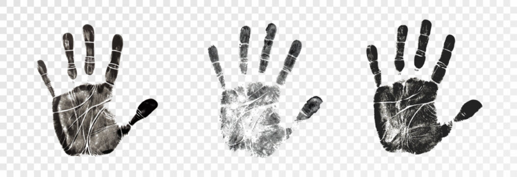 A set of human footprints, shoe prints and palm prints. Collection of vector prints of feet, hands, shoes on transparent background png.	
